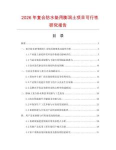 2026年復(fù)合防水墊用膨潤(rùn)土項(xiàng)目可行性研究報(bào)告