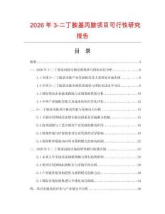 2026年3-二丁胺基丙胺項(xiàng)目可行性研究報(bào)告