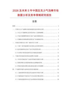 2026及未來5年中國壓克力氣泡棒市場數(shù)據(jù)分析及競爭策略研究報(bào)告