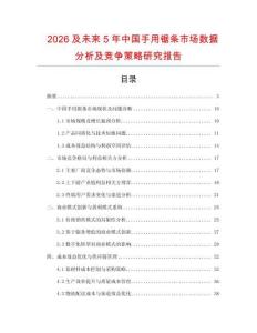 2026及未來(lái)5年中國(guó)手用鋸條市場(chǎng)數(shù)據(jù)分析及競(jìng)爭(zhēng)策略研究報(bào)告