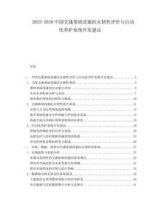 2025-2030中國交通基礎(chǔ)設(shè)施抗災(zāi)韌性評價與自動化養(yǎng)護(hù)系統(tǒng)開發(fā)建議