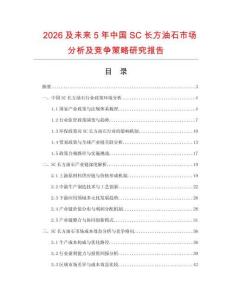 2026及未來5年中國SC長方油石市場分析及競爭策略研究報告
