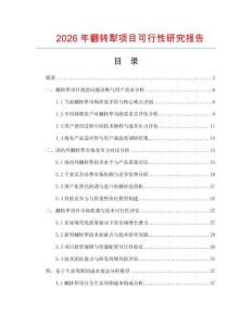 2026年翻轉犁項目可行性研究報告