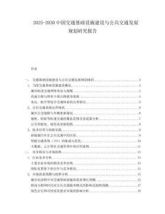 2025-2030中國交通基礎(chǔ)設(shè)施建設(shè)與公共交通發(fā)展規(guī)劃研究報告