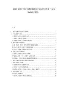 2025-2030中國交通運輸行業(yè)市場現(xiàn)狀競爭與發(fā)展策略研究報告
