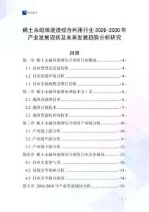 稀土永磁體廢渣綜合利用行業(yè)2026-2030年產(chǎn)業(yè)發(fā)展現(xiàn)狀及未來發(fā)展趨勢(shì)分析研究