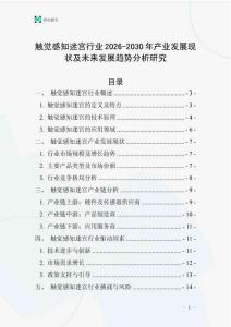 觸覺感知迷宮行業(yè)2026-2030年產(chǎn)業(yè)發(fā)展現(xiàn)狀及未來發(fā)展趨勢分析研究