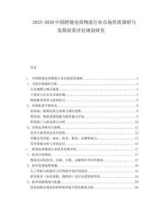 2025-2030中國跨境電商物流行業(yè)市場供需調(diào)研與發(fā)展前景評估規(guī)劃研究