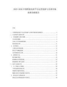2025-2030中國跨境電商平臺運(yùn)營創(chuàng)新與全球市場拓展攻略報(bào)告