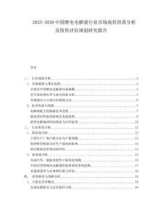 2025-2030中國鋰電電解液行業(yè)市場現狀供需分析及投資評估規(guī)劃研究報告