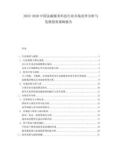 2025-2030中國(guó)金融服務(wù)科技行業(yè)市場(chǎng)競(jìng)爭(zhēng)分析與發(fā)展投資策略報(bào)告