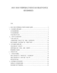 2025-2030中國跨境電子商務行業市場競爭分析及投資策略報告