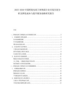 2025-2030中國跨境電商立體物流行業市場全面分析及降低成本與提升服務戰略研究報告