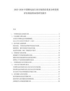 2025-2030中國鋰電池行業(yè)市場供給需求分析投資評估規(guī)劃的深度研究報告