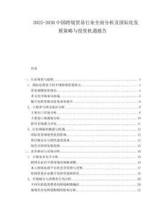 2025-2030中國跨境貿易行業全面分析及國際化發展策略與投資機遇報告