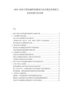 2025-2030中國金融科技服務(wù)行業(yè)市場競爭現(xiàn)狀與未來發(fā)展方向分析