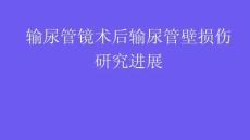 输尿管镜术后输尿管壁损伤研究进展2026