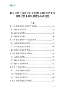 超小型貼片保險(xiǎn)絲行業(yè)2026-2030年產(chǎn)業(yè)發(fā)展現(xiàn)狀及未來(lái)發(fā)展趨勢(shì)分析研究