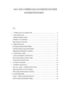 2025-2030中國煤炭分選行業(yè)市場供需分析及投資評估規(guī)劃分析研究報告