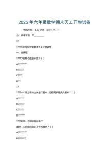 2025年六年級數學期末天工開物試卷