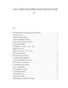2025中國碳中和技術(shù)路線與商業(yè)化投資機(jī)會評估報告