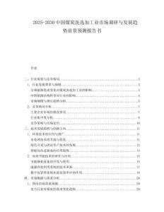 2025-2030中國煤炭洗選加工業市場調研與發展趨勢前景預測報告書