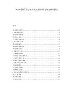 2025中國吸頂燈細分領域增長潛力與突破口報告