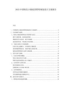 2025中國特色小鎮(zhèn)夜景照明規(guī)劃設(shè)計方案報告