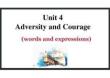 Unit+4+Adversity+and+Courage+Words+and+Expressions+課件-2025-2026學年高中英語人教版選擇性必修第三冊