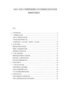 2025-2030中國煤炭能源行業(yè)市場(chǎng)現(xiàn)狀及優(yōu)化發(fā)展策略研究報(bào)告