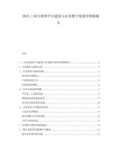 2025工業互聯網平臺建設與企業數字化轉型策略報告
