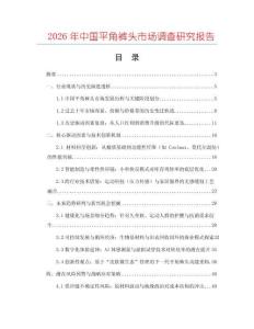 2026年中國平角褲頭市場調查研究報告