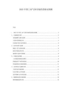 2025中國工業(yè)氣體市場供需格局預(yù)測