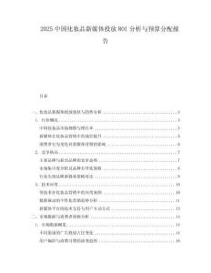 2025中國化妝品新媒體投放ROI分析與預(yù)算分配報(bào)告