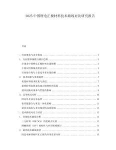 2025中國鋰電正極材料技術(shù)路線對比研究報告