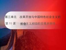 3.11 社會主義初級階段基本路線  統編版八年級歷史下冊