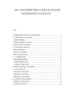 2025-2030智利鋰礦資源出口通道分布與資本周轉分析及投資前景可行性評估文件