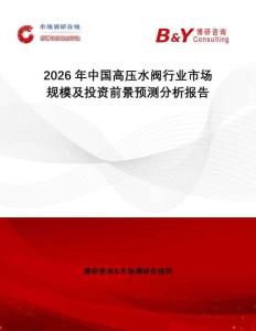 2026年中國高壓水閥行業(yè)市場規(guī)模及投資前景預(yù)測分析報告