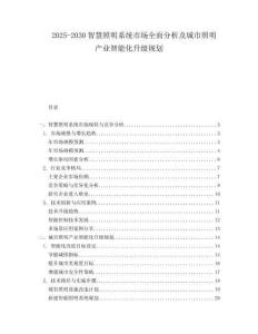 2025-2030智慧照明系統(tǒng)市場(chǎng)全面分析及城市照明產(chǎn)業(yè)智能化升級(jí)規(guī)劃