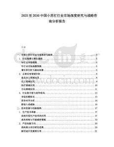 2025至2030中國(guó)小蘇打行業(yè)市場(chǎng)深度研究與戰(zhàn)略咨詢(xún)分析報(bào)告