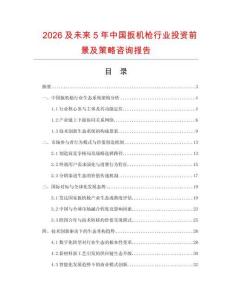 2026及未來5年中國扳機(jī)槍行業(yè)投資前景及策略咨詢報(bào)告