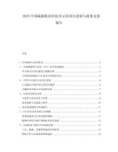 2025中國碳捕集封存技術示范項目進展與政策支持報告