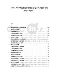 2025-2030鋼鐵冶煉行業(yè)經(jīng)濟運行態(tài)勢及投資前景規(guī)劃分析報告