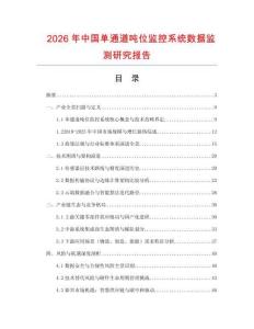 2026年中國單通道噸位監控系統數據監測研究報告