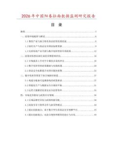 2026年中国阳春拉面数据监测研究报告