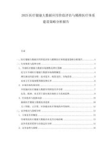 2025醫(yī)療健康大數(shù)據(jù)應用價值評估與精準醫(yī)療體系建設(shè)策略分析報告