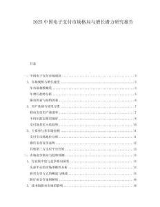 2025中國電子支付市場格局與增長潛力研究報告
