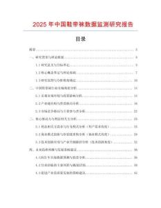 2025年中国鞋带袜数据监测研究报告