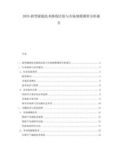 2025新型儲(chǔ)能技術(shù)路線比較與市場(chǎng)規(guī)模測(cè)算分析報(bào)告