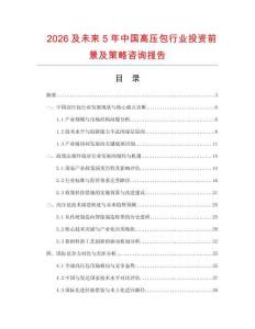 2026及未來5年中國高壓包行業投資前景及策略咨詢報告